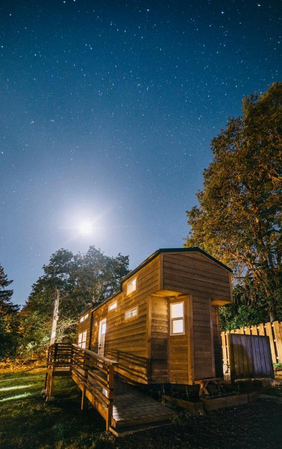 Umpqua'S Last Resort - Wilderness Cabins, Rv Park & Glamping Idleyld Park Zewnętrze zdjęcie