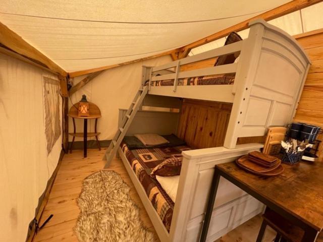 Umpqua'S Last Resort - Wilderness Cabins, Rv Park & Glamping Idleyld Park Zewnętrze zdjęcie